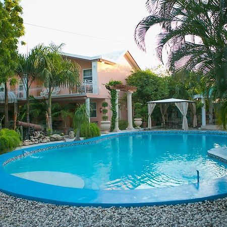 Palm Inn Hotel Port-au-Prince Rum bild