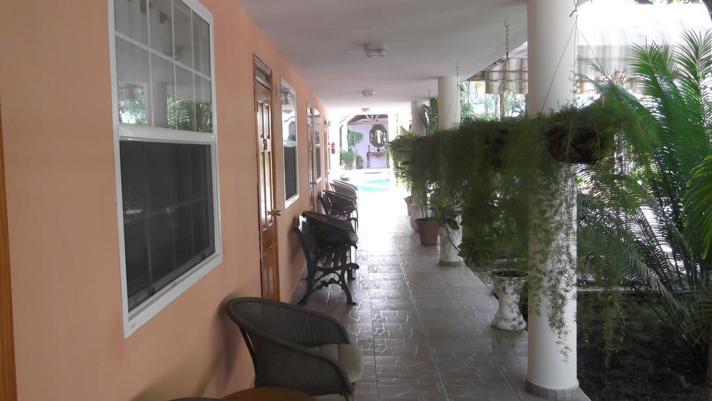Palm Inn Hotel Port-au-Prince Exteriör bild